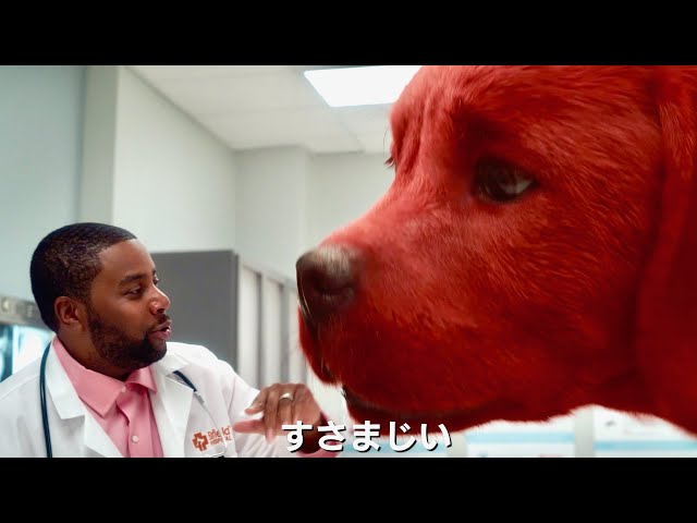 でか子犬、飼うコツを獣医師が伝授！映画『でっかくなっちゃった赤い子犬 僕はクリフォード』特別映像