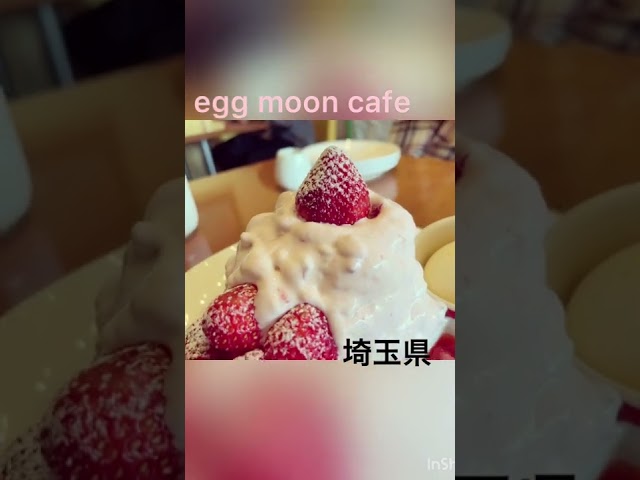 【贅沢🍓パンケーキ】#パンケーキ #shorts #sweets #gourmet #desert #食べ歩き　#eggmooncafe #egg #大塚桃子