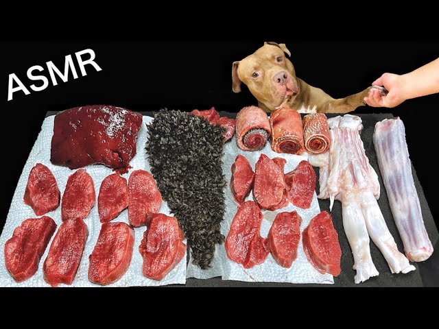 【ASMR】美味しそうな牛肉を爆食いするピットブルが肉テロすぎるw