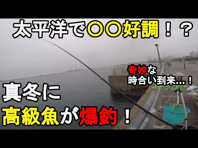 【茨城県南部】真冬にシーズン開幕！？極寒の2月中旬、天気予報が雪の日に太平洋に面している茨城県の釣り場で釣りしてみたら、春を告げるあの高級魚が爆釣して…！【2022.02.13】