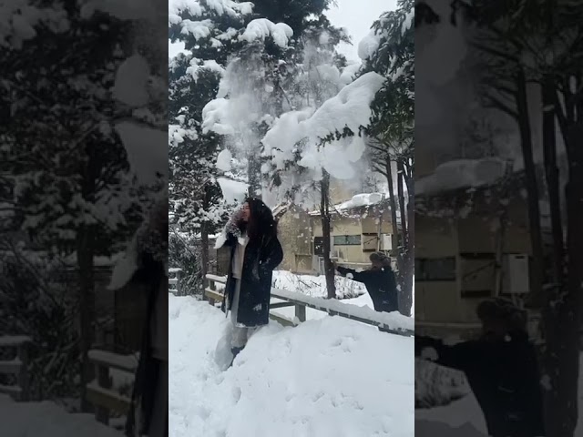 Vegan夫婦の雪山スタイル