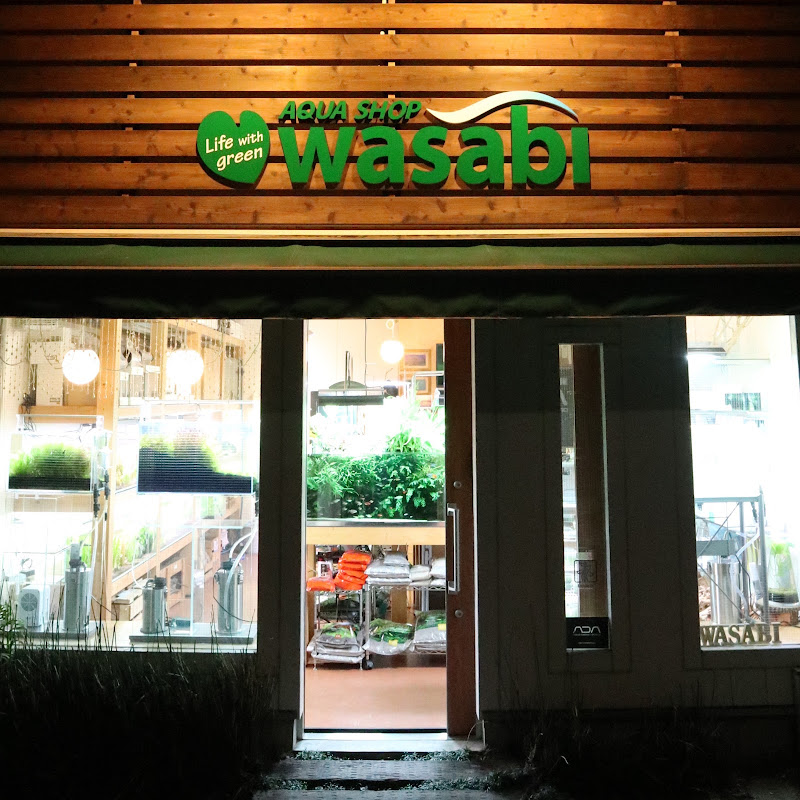 AQUA SHOP wasabi