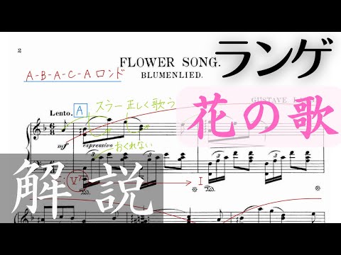 【ピアノ曲レッスン】ランゲ 花の歌【発表会曲】
