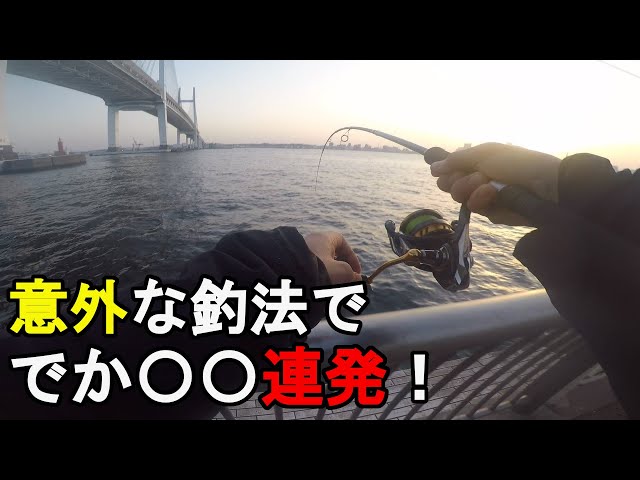 【東京湾】2022年海釣りシーズン開幕！？春が近付く3月中旬、ここ最近東京湾を回遊中のとある魚を狙って釣りしてみたら、意外な釣法で想像以上の大きさのでか○○が連発して…！【2022.03.16】