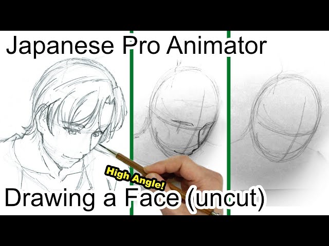PRO Animator Draws in Real-time: Anime Face (High Angle)