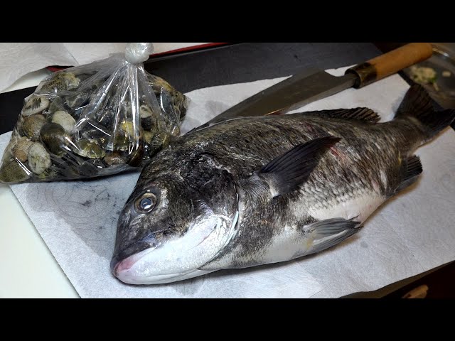 【今が旬】お魚屋さんの愛知県産アサリと黒鯛が美味すぎる！