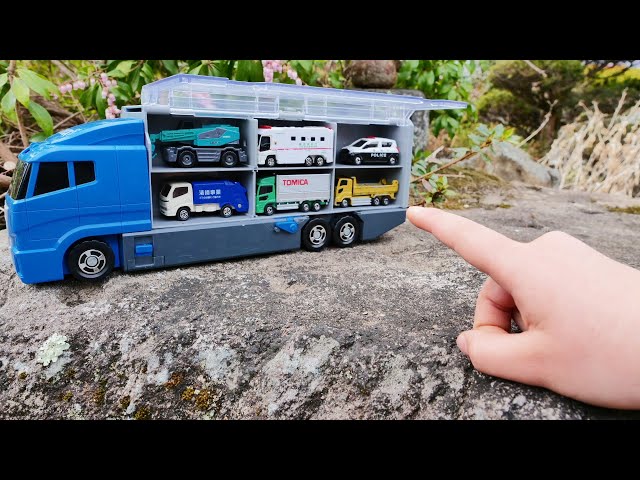 13 Type TOMICA & Cleanup Convoy in the Japanese Garden ☆ How to play with parents and children