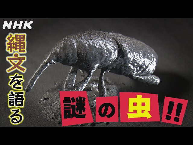[歴史探偵] 縄文を語る謎の虫！コクゾウムシから縄文時代のくらしがわかる | NHK